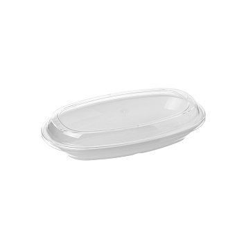 00000080002_03 15-01-2026 11-08